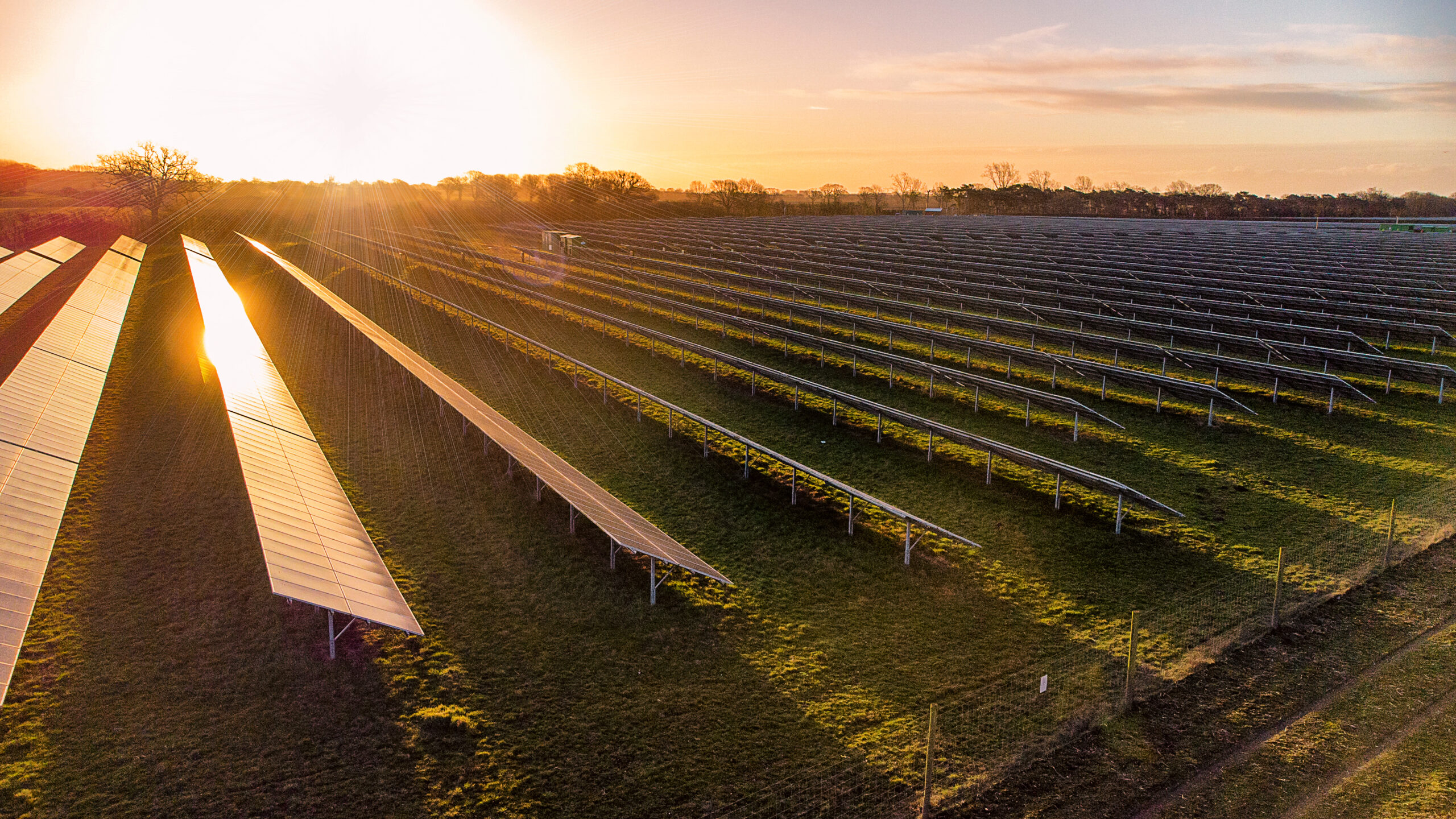 Agricolture for the production renewable energy